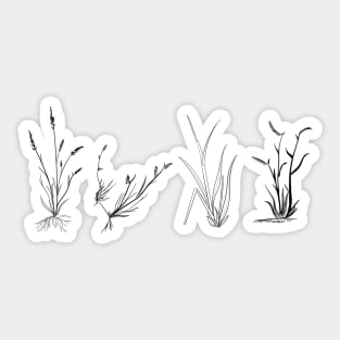 Grasses of the shortgrass steppe Sticker